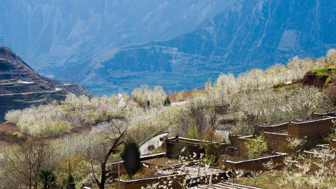 青城山都江堰旅游攻略-都江堰青城山旅游官网(图32) 青城山都江堰旅游攻略_都江堰青城山旅游官网_都江堰青城山旅游攻略一日游