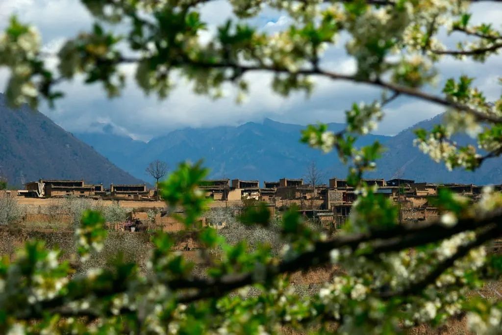 青城山都江堰旅游攻略-都江堰青城山旅游官网(图34) 青城山都江堰旅游攻略_都江堰青城山旅游攻略一日游_都江堰青城山旅游官网