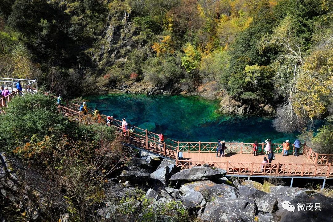 青城山都江堰旅游攻略-都江堰青城山旅游官网(图43) 都江堰青城山旅游攻略一日游_青城山都江堰旅游攻略_都江堰青城山旅游官网