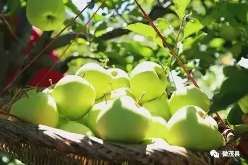 青城山都江堰旅游攻略-都江堰青城山旅游官网(图45) 都江堰青城山旅游官网_青城山都江堰旅游攻略_都江堰青城山旅游攻略一日游