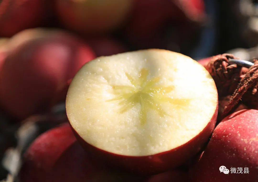 青城山都江堰旅游攻略-都江堰青城山旅游官网(图46) 都江堰青城山旅游官网_青城山都江堰旅游攻略_都江堰青城山旅游攻略一日游