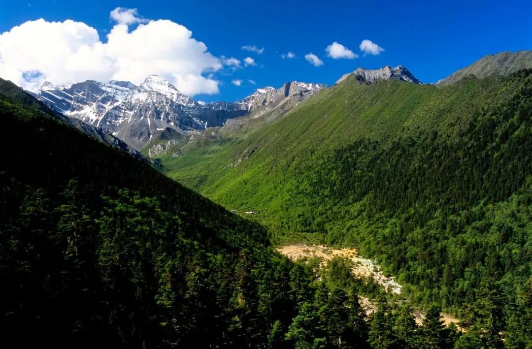 青城山都江堰旅游攻略-都江堰青城山旅游官网(图55) 都江堰青城山旅游官网_青城山都江堰旅游攻略_都江堰青城山旅游攻略一日游