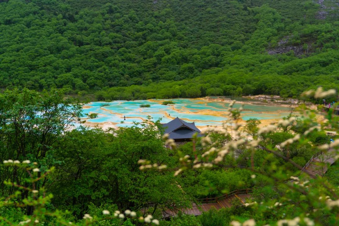 青城山都江堰旅游攻略-都江堰青城山旅游官网(图59) 都江堰青城山旅游攻略一日游_青城山都江堰旅游攻略_都江堰青城山旅游官网