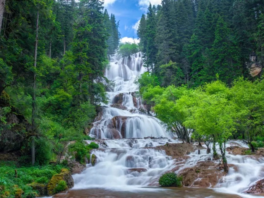 青城山都江堰旅游攻略-都江堰青城山旅游官网(图60) 青城山都江堰旅游攻略_都江堰青城山旅游攻略一日游_都江堰青城山旅游官网