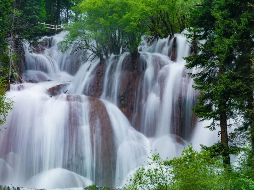 青城山都江堰旅游攻略-都江堰青城山旅游官网(图61) 都江堰青城山旅游官网_青城山都江堰旅游攻略_都江堰青城山旅游攻略一日游