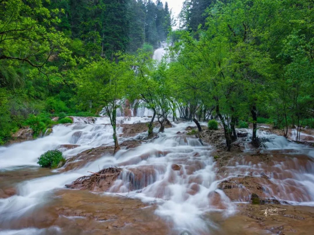 青城山都江堰旅游攻略-都江堰青城山旅游官网(图62) 青城山都江堰旅游攻略_都江堰青城山旅游攻略一日游_都江堰青城山旅游官网