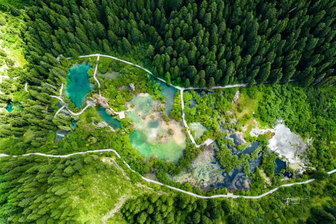 青城山都江堰旅游攻略-都江堰青城山旅游官网(图63) 都江堰青城山旅游官网_都江堰青城山旅游攻略一日游_青城山都江堰旅游攻略