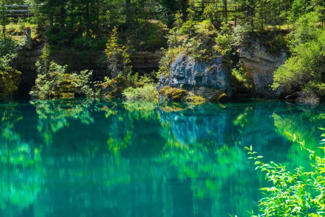 青城山都江堰旅游攻略-都江堰青城山旅游官网(图65) 都江堰青城山旅游官网_青城山都江堰旅游攻略_都江堰青城山旅游攻略一日游