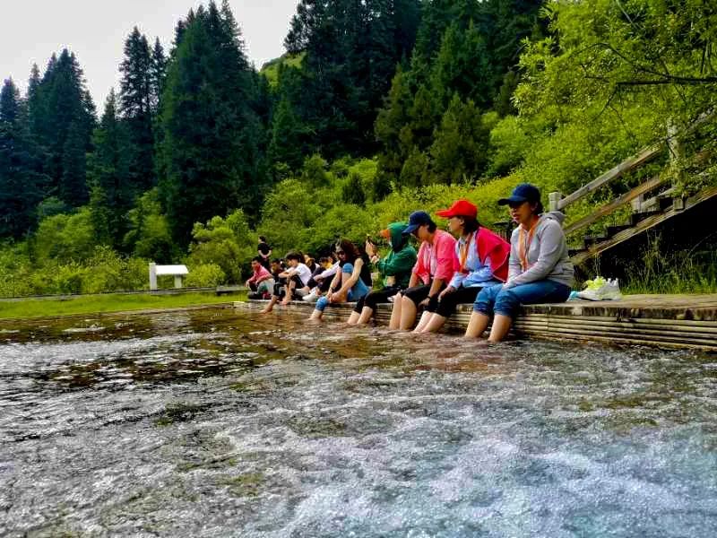 青城山都江堰旅游攻略-都江堰青城山旅游官网(图66) 都江堰青城山旅游官网_都江堰青城山旅游攻略一日游_青城山都江堰旅游攻略