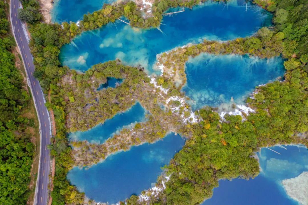 青城山都江堰旅游攻略-都江堰青城山旅游官网(图68) 都江堰青城山旅游攻略一日游_青城山都江堰旅游攻略_都江堰青城山旅游官网