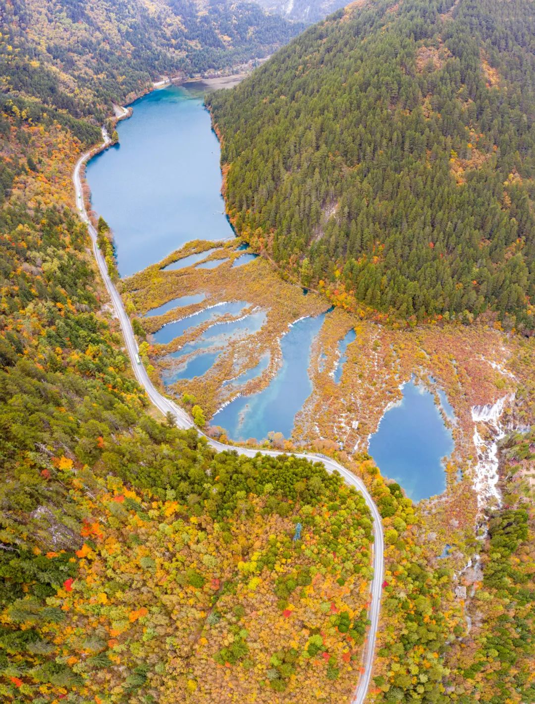 青城山都江堰旅游攻略-都江堰青城山旅游官网(图71) 都江堰青城山旅游官网_都江堰青城山旅游攻略一日游_青城山都江堰旅游攻略