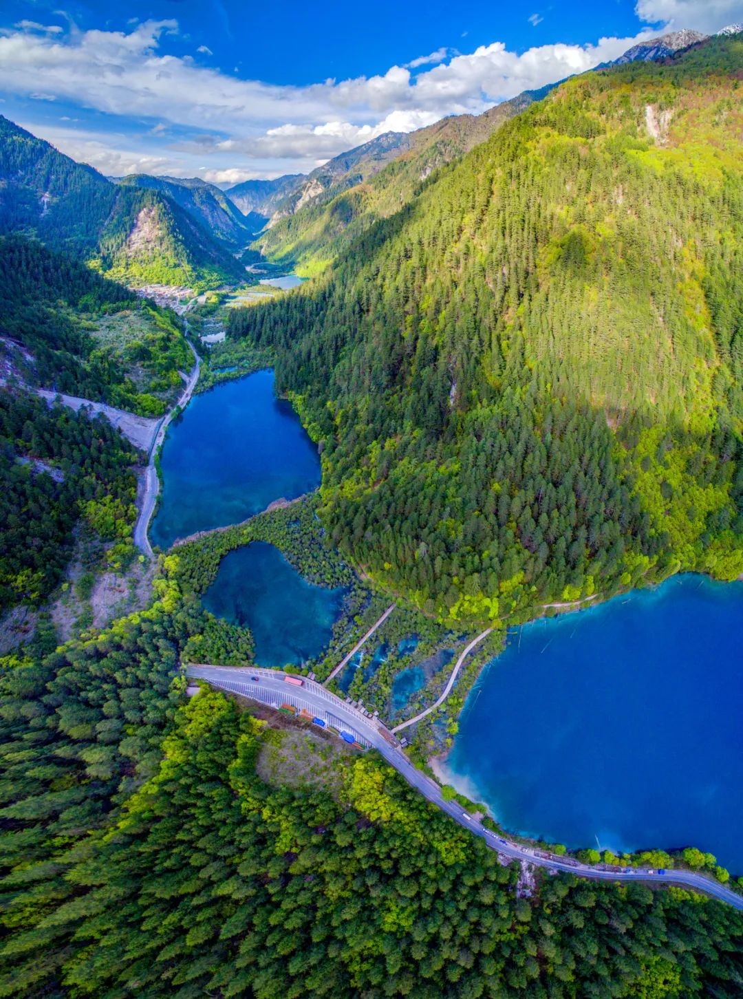 青城山都江堰旅游攻略-都江堰青城山旅游官网(图74) 都江堰青城山旅游攻略一日游_青城山都江堰旅游攻略_都江堰青城山旅游官网