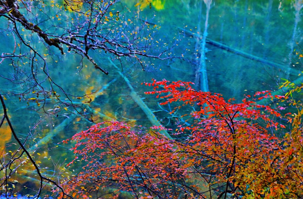 青城山都江堰旅游攻略-都江堰青城山旅游官网(图79) 都江堰青城山旅游官网_青城山都江堰旅游攻略_都江堰青城山旅游攻略一日游