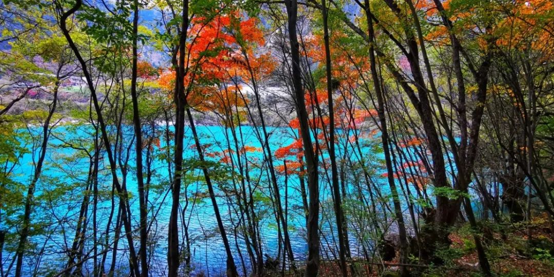 青城山都江堰旅游攻略-都江堰青城山旅游官网(图81) 青城山都江堰旅游攻略_都江堰青城山旅游攻略一日游_都江堰青城山旅游官网