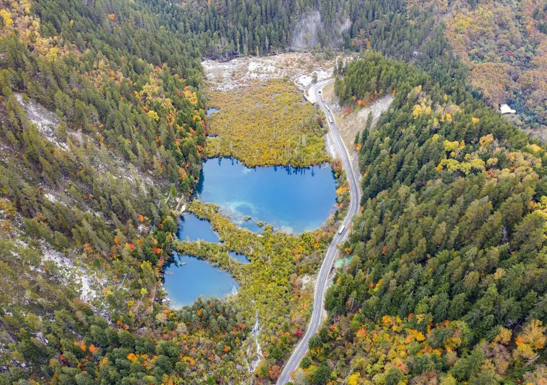 青城山都江堰旅游攻略-都江堰青城山旅游官网(图84) 青城山都江堰旅游攻略_都江堰青城山旅游攻略一日游_都江堰青城山旅游官网
