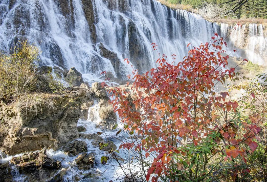 青城山都江堰旅游攻略-都江堰青城山旅游官网(图85) 青城山都江堰旅游攻略_都江堰青城山旅游攻略一日游_都江堰青城山旅游官网