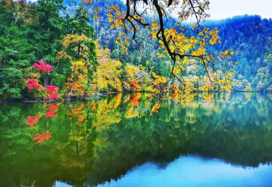 青城山都江堰旅游攻略-都江堰青城山旅游官网(图87) 都江堰青城山旅游官网_青城山都江堰旅游攻略_都江堰青城山旅游攻略一日游