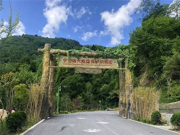 青城山都江堰旅游攻略-都江堰青城山旅游官网(图88) 都江堰青城山旅游攻略一日游_都江堰青城山旅游官网_青城山都江堰旅游攻略