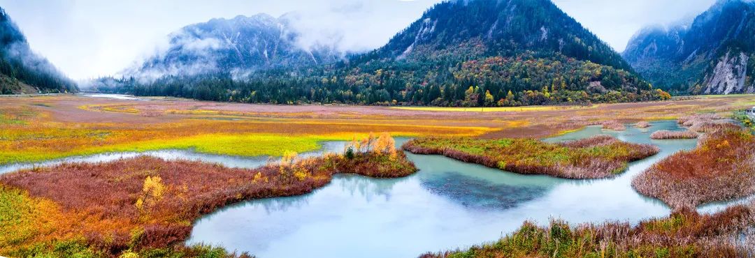 青城山都江堰旅游攻略-都江堰青城山旅游官网(图89) 青城山都江堰旅游攻略_都江堰青城山旅游官网_都江堰青城山旅游攻略一日游