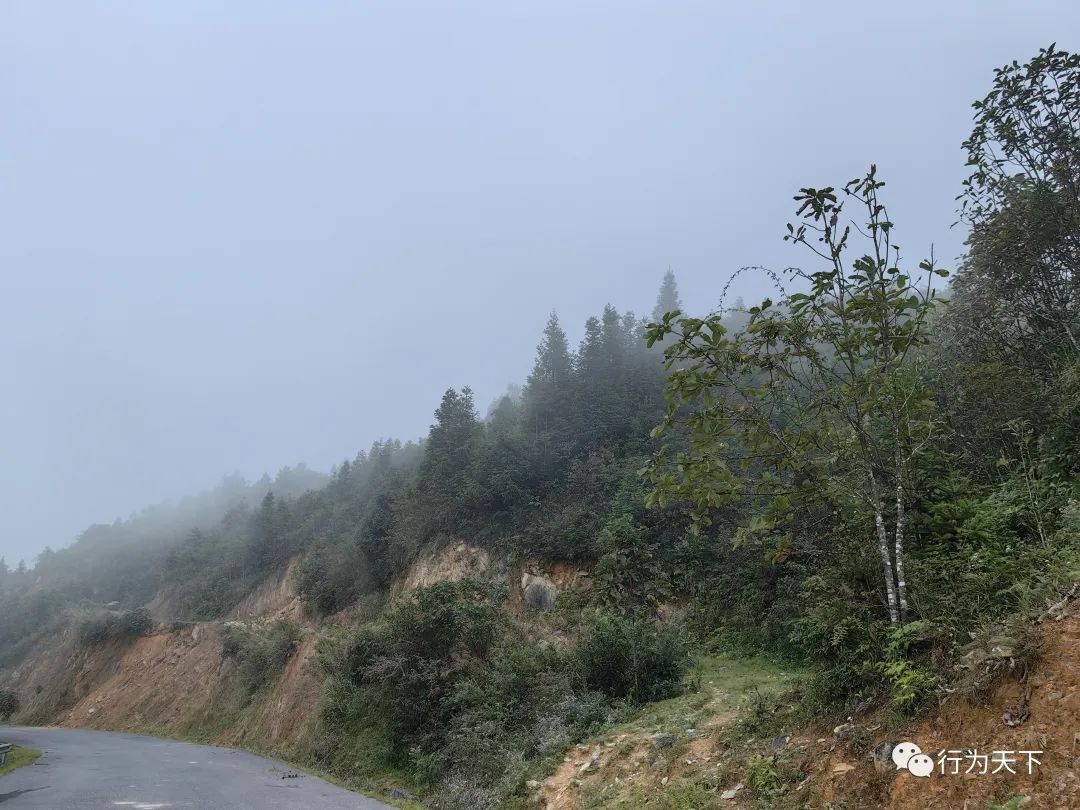 广西龙胜梯田旅游攻略-广西龙胜梯田景区门票(图12) 广西龙胜梯田景区门票_广西龙胜梯田景区民宿_广西龙胜梯田旅游攻略