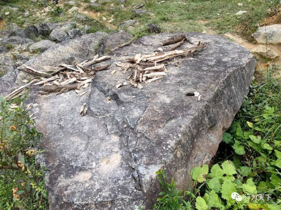 广西龙胜梯田旅游攻略-广西龙胜梯田景区门票(图19) 广西龙胜梯田景区民宿_广西龙胜梯田旅游攻略_广西龙胜梯田景区门票