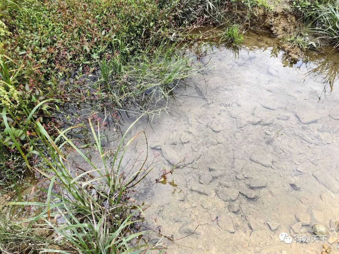 广西龙胜梯田旅游攻略-广西龙胜梯田景区门票(图20) 广西龙胜梯田景区民宿_广西龙胜梯田景区门票_广西龙胜梯田旅游攻略