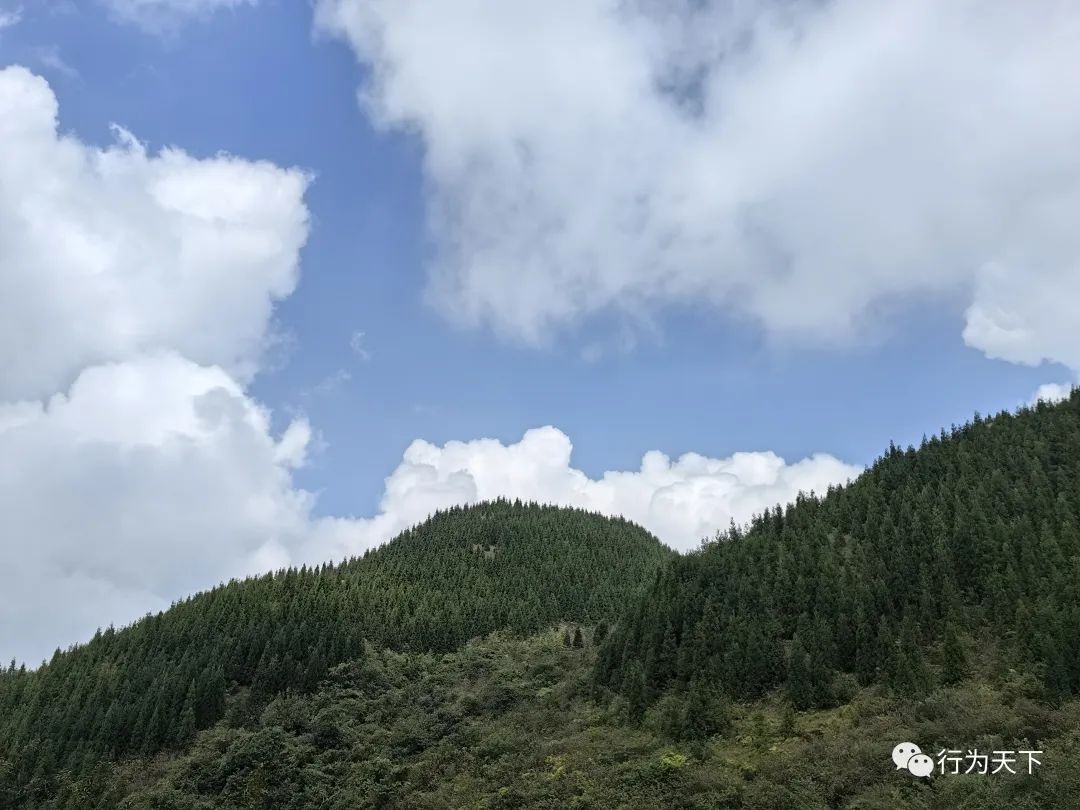 广西龙胜梯田旅游攻略-广西龙胜梯田景区门票(图3) 广西龙胜梯田景区民宿_广西龙胜梯田旅游攻略_广西龙胜梯田景区门票