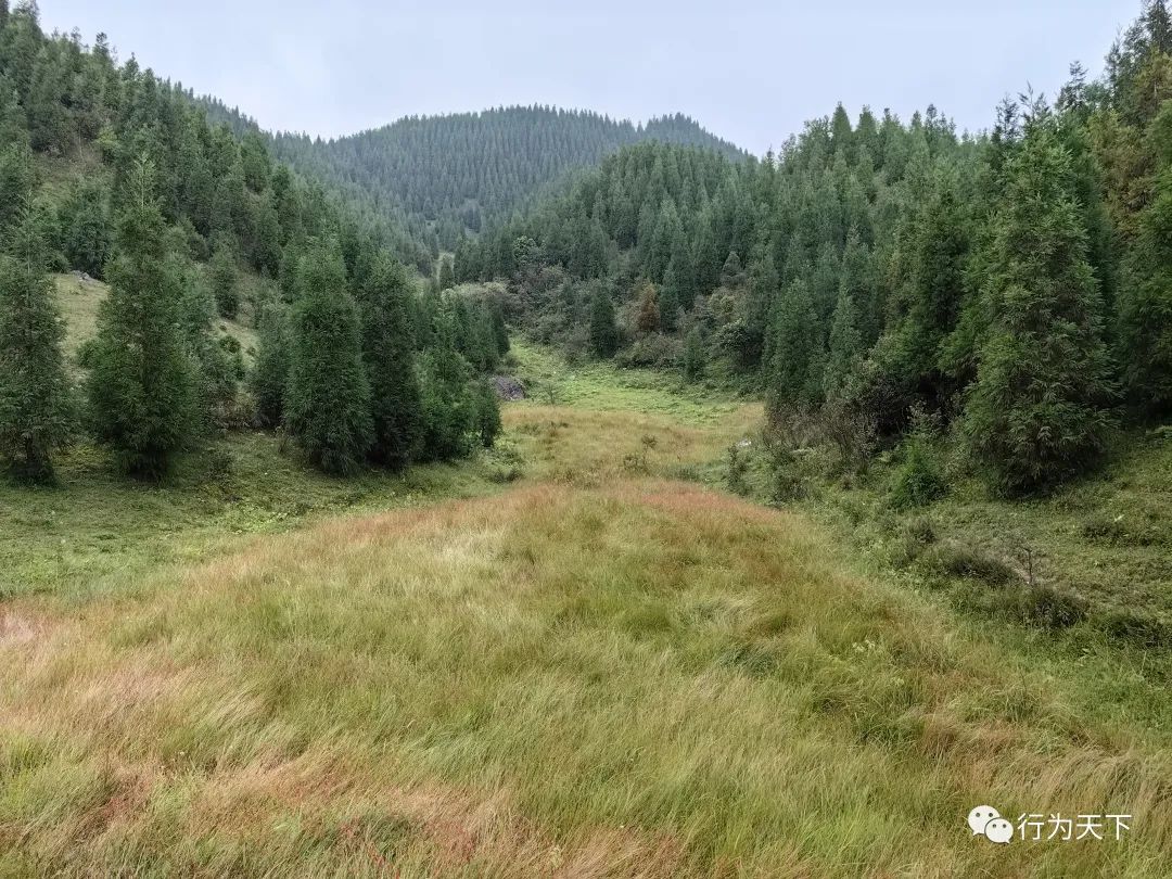 广西龙胜梯田旅游攻略-广西龙胜梯田景区门票(图26) 广西龙胜梯田景区民宿_广西龙胜梯田旅游攻略_广西龙胜梯田景区门票