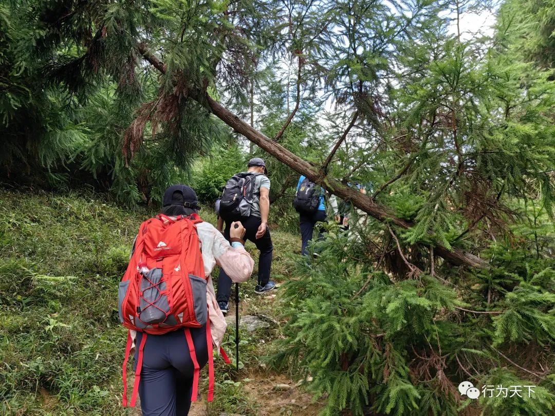 广西龙胜梯田旅游攻略-广西龙胜梯田景区门票(图27) 广西龙胜梯田旅游攻略_广西龙胜梯田景区门票_广西龙胜梯田景区民宿