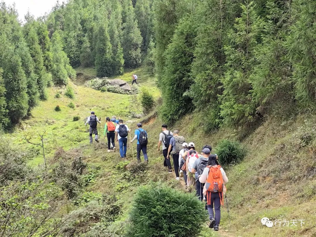 广西龙胜梯田旅游攻略-广西龙胜梯田景区门票(图4) 广西龙胜梯田旅游攻略_广西龙胜梯田景区门票_广西龙胜梯田景区民宿