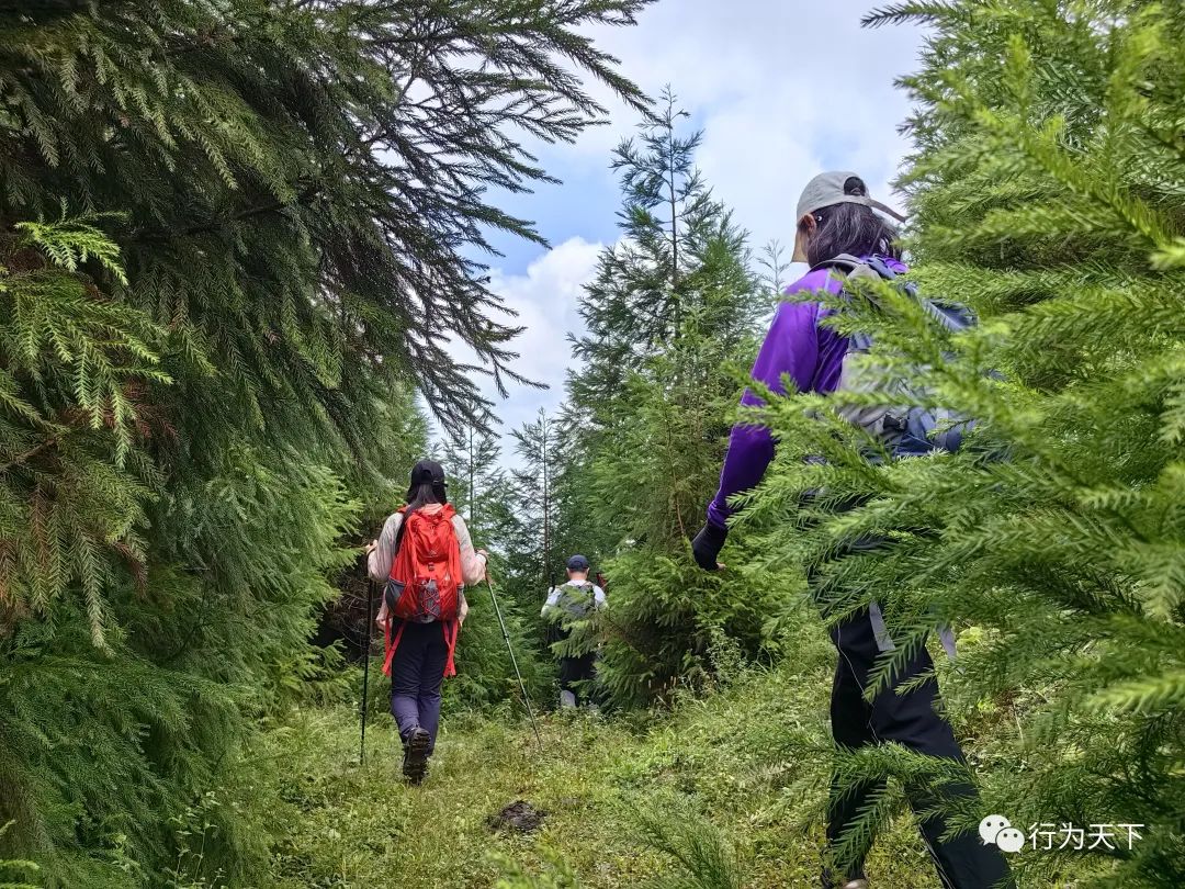 广西龙胜梯田旅游攻略-广西龙胜梯田景区门票(图31) 广西龙胜梯田景区门票_广西龙胜梯田旅游攻略_广西龙胜梯田景区民宿
