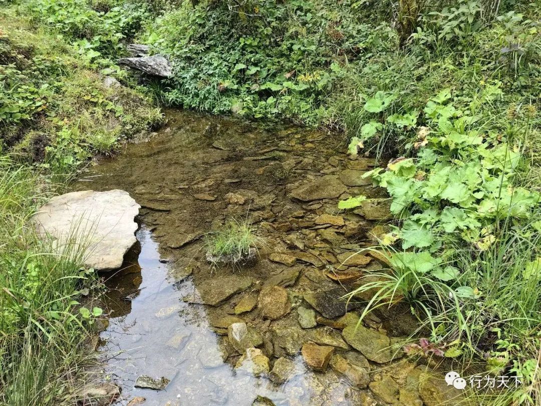 广西龙胜梯田旅游攻略-广西龙胜梯田景区门票(图32) 广西龙胜梯田景区门票_广西龙胜梯田景区民宿_广西龙胜梯田旅游攻略