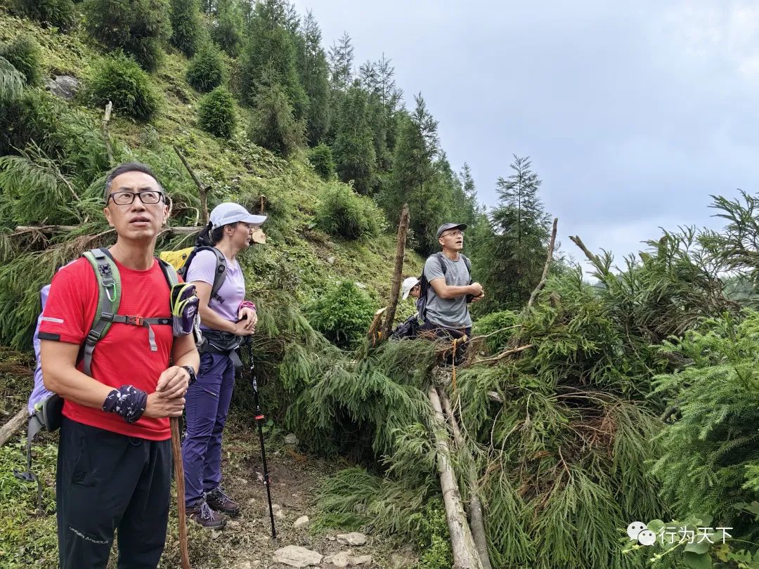 广西龙胜梯田旅游攻略-广西龙胜梯田景区门票(图33) 广西龙胜梯田景区民宿_广西龙胜梯田旅游攻略_广西龙胜梯田景区门票