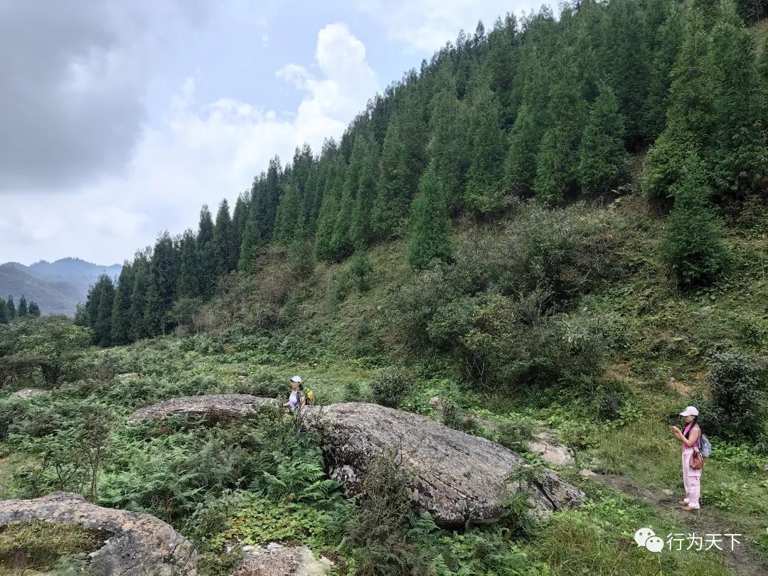 广西龙胜梯田旅游攻略-广西龙胜梯田景区门票(图36) 广西龙胜梯田旅游攻略_广西龙胜梯田景区门票_广西龙胜梯田景区民宿