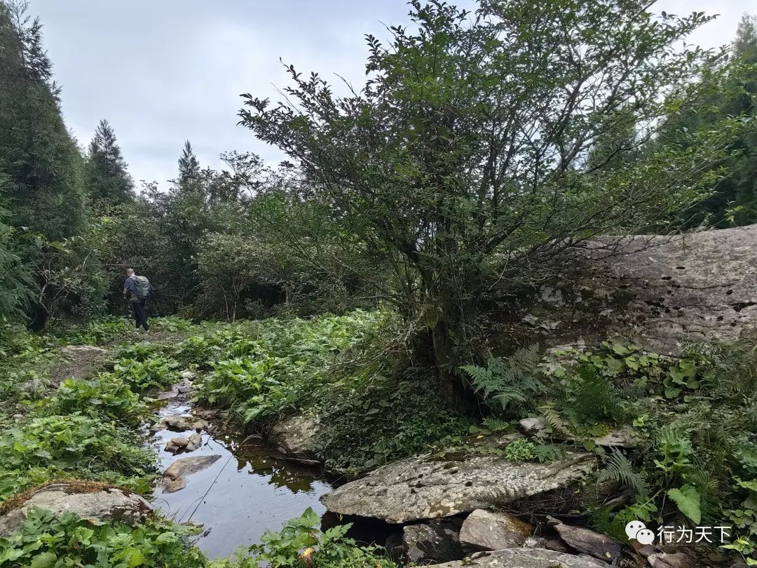 广西龙胜梯田旅游攻略-广西龙胜梯田景区门票(图38) 广西龙胜梯田景区门票_广西龙胜梯田景区民宿_广西龙胜梯田旅游攻略