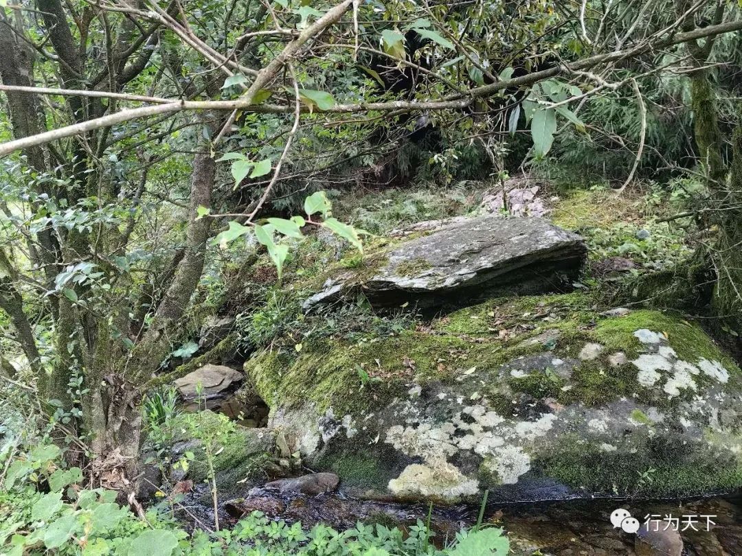 广西龙胜梯田旅游攻略-广西龙胜梯田景区门票(图39) 广西龙胜梯田旅游攻略_广西龙胜梯田景区民宿_广西龙胜梯田景区门票