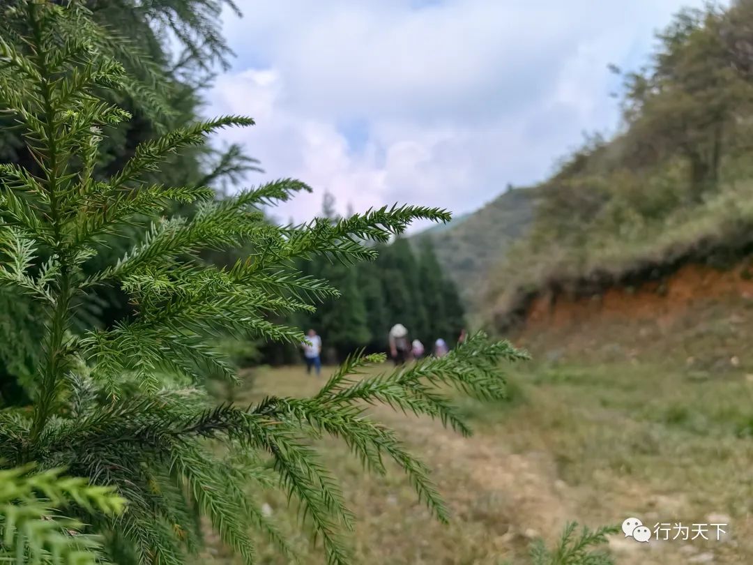 广西龙胜梯田旅游攻略-广西龙胜梯田景区门票(图42) 广西龙胜梯田景区门票_广西龙胜梯田景区民宿_广西龙胜梯田旅游攻略