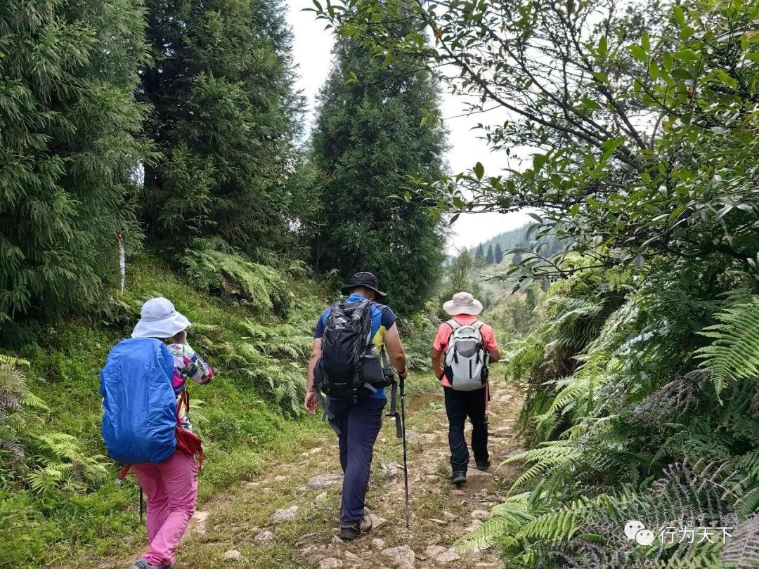 广西龙胜梯田旅游攻略-广西龙胜梯田景区门票(图51) 广西龙胜梯田景区民宿_广西龙胜梯田景区门票_广西龙胜梯田旅游攻略