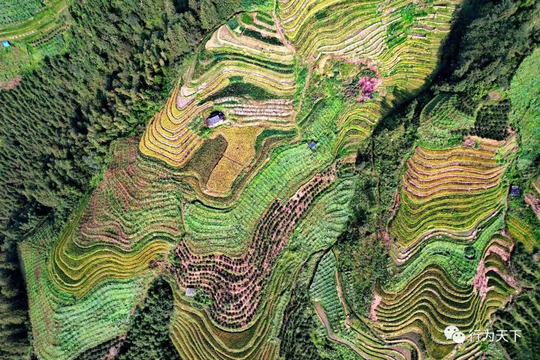 广西龙胜梯田旅游攻略-广西龙胜梯田景区门票(图59) 广西龙胜梯田景区民宿_广西龙胜梯田旅游攻略_广西龙胜梯田景区门票