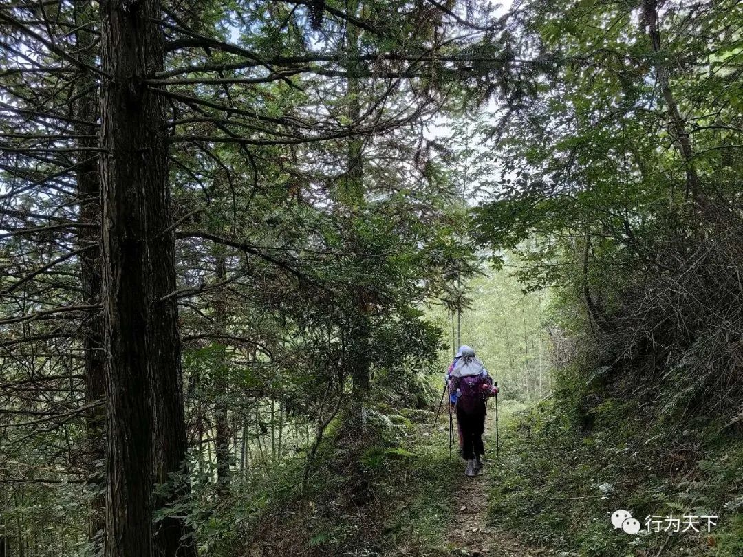 广西龙胜梯田旅游攻略-广西龙胜梯田景区门票(图7) 广西龙胜梯田景区门票_广西龙胜梯田景区民宿_广西龙胜梯田旅游攻略