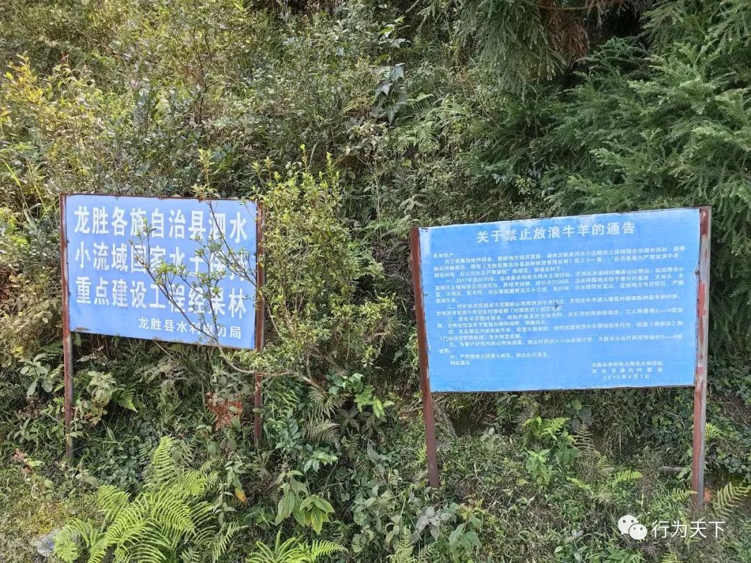 广西龙胜梯田旅游攻略-广西龙胜梯田景区门票(图64) 广西龙胜梯田景区门票_广西龙胜梯田旅游攻略_广西龙胜梯田景区民宿