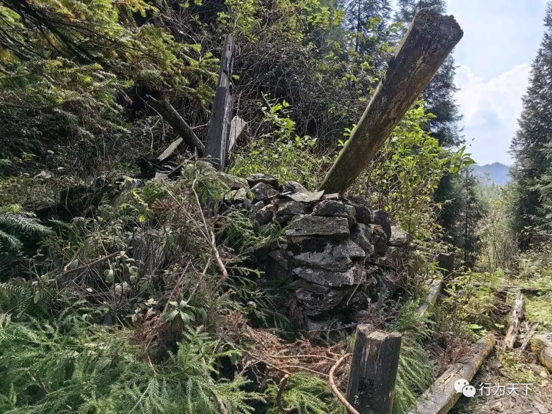 广西龙胜梯田旅游攻略-广西龙胜梯田景区门票(图66) 广西龙胜梯田景区门票_广西龙胜梯田旅游攻略_广西龙胜梯田景区民宿