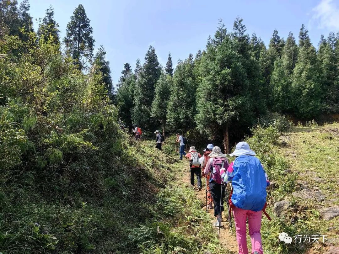 广西龙胜梯田旅游攻略-广西龙胜梯田景区门票(图68) 广西龙胜梯田旅游攻略_广西龙胜梯田景区门票_广西龙胜梯田景区民宿