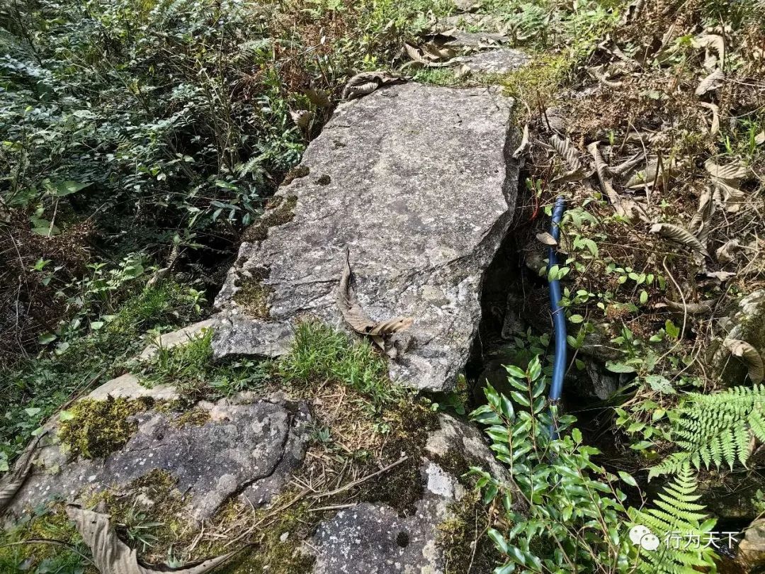 广西龙胜梯田旅游攻略-广西龙胜梯田景区门票(图70) 广西龙胜梯田景区民宿_广西龙胜梯田景区门票_广西龙胜梯田旅游攻略