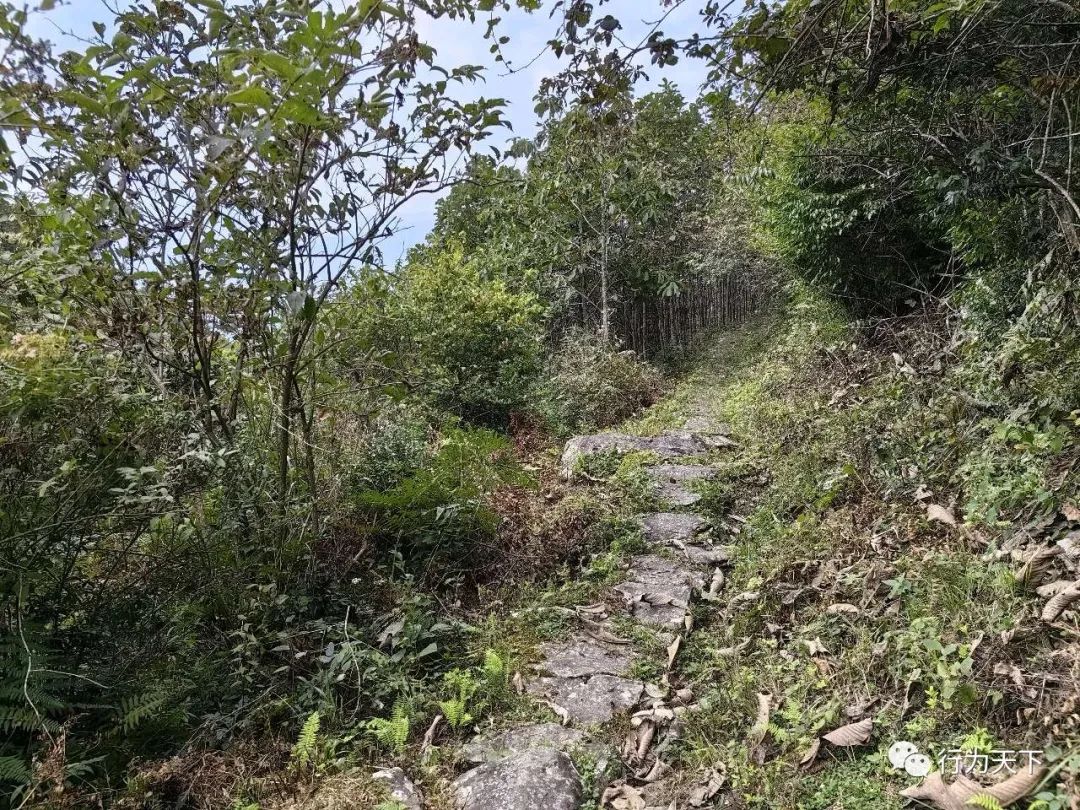 广西龙胜梯田旅游攻略-广西龙胜梯田景区门票(图72) 广西龙胜梯田旅游攻略_广西龙胜梯田景区民宿_广西龙胜梯田景区门票