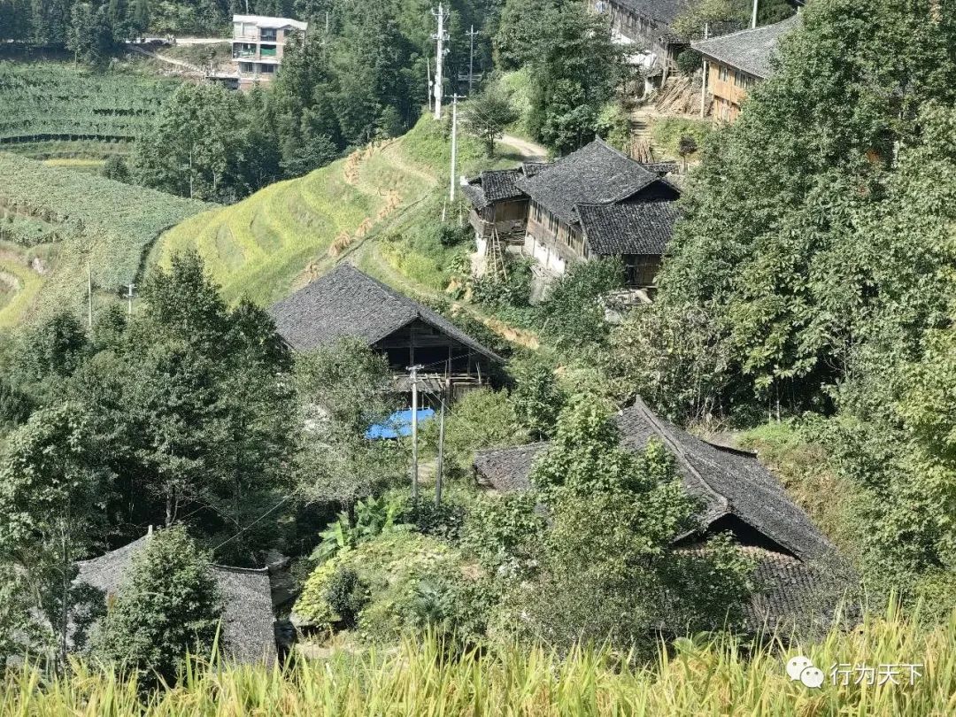 广西龙胜梯田旅游攻略-广西龙胜梯田景区门票(图75) 广西龙胜梯田旅游攻略_广西龙胜梯田景区门票_广西龙胜梯田景区民宿
