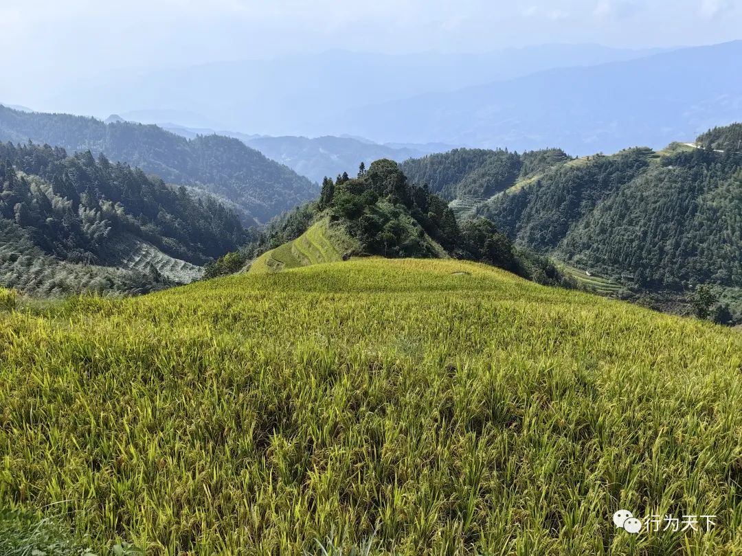 广西龙胜梯田旅游攻略-广西龙胜梯田景区门票(图9) 广西龙胜梯田旅游攻略_广西龙胜梯田景区门票_广西龙胜梯田景区民宿