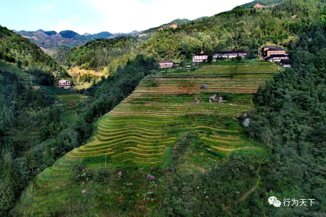 广西龙胜梯田旅游攻略-广西龙胜梯田景区门票(图82) 广西龙胜梯田景区门票_广西龙胜梯田景区民宿_广西龙胜梯田旅游攻略