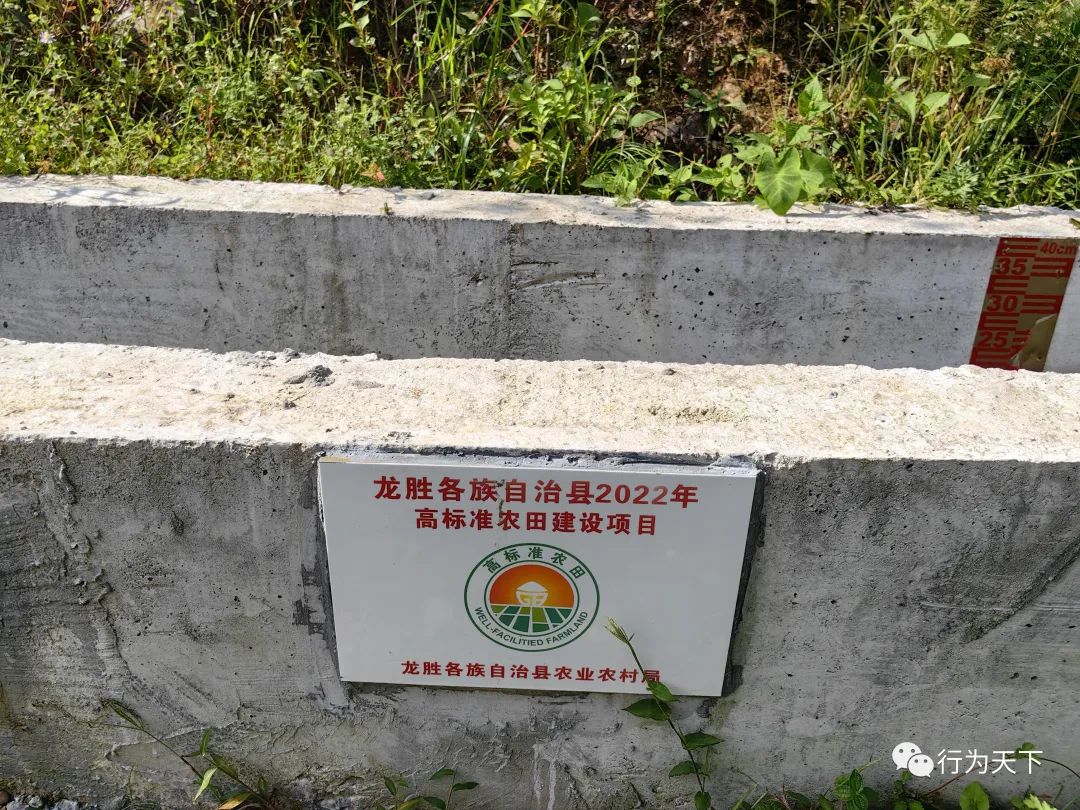 广西龙胜梯田旅游攻略-广西龙胜梯田景区门票(图86) 广西龙胜梯田旅游攻略_广西龙胜梯田景区门票_广西龙胜梯田景区民宿