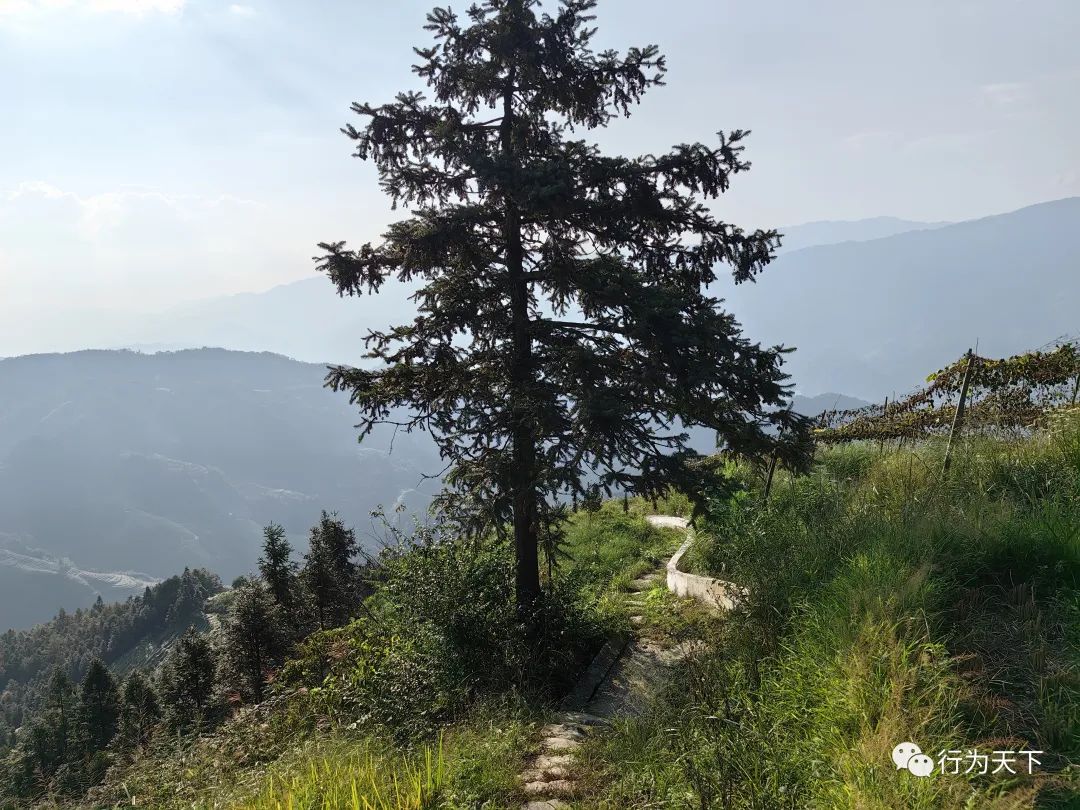 广西龙胜梯田旅游攻略-广西龙胜梯田景区门票(图94) 广西龙胜梯田旅游攻略_广西龙胜梯田景区门票_广西龙胜梯田景区民宿